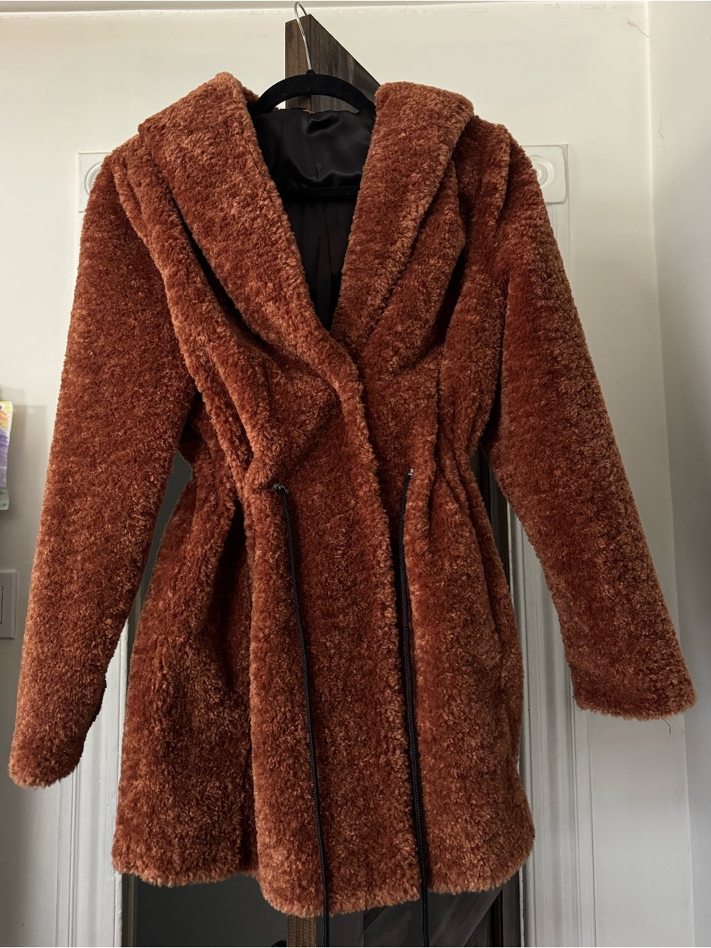 Plush Teddy Hooded Coat in Rust Brown